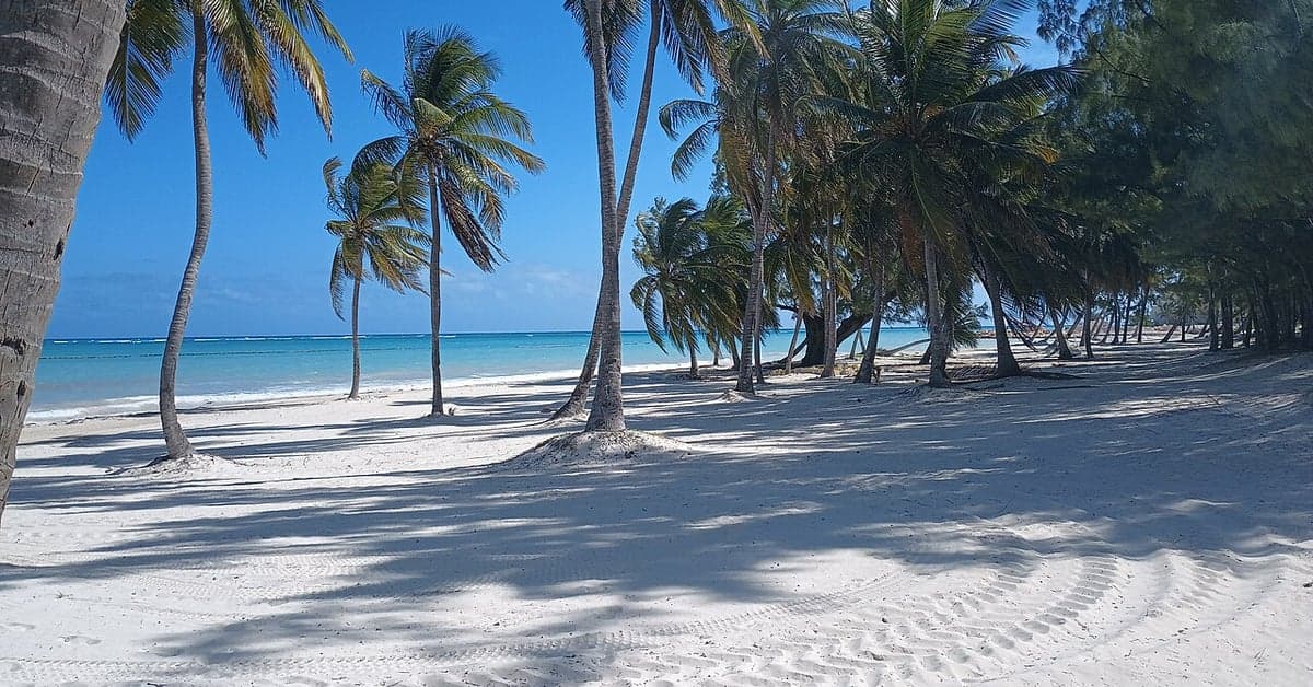 Beach near Sanctuary Cap Cana, Dominican Republic