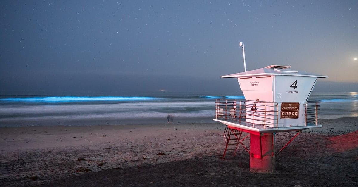 Bioluminescent surf glowing blue at night in San Diego