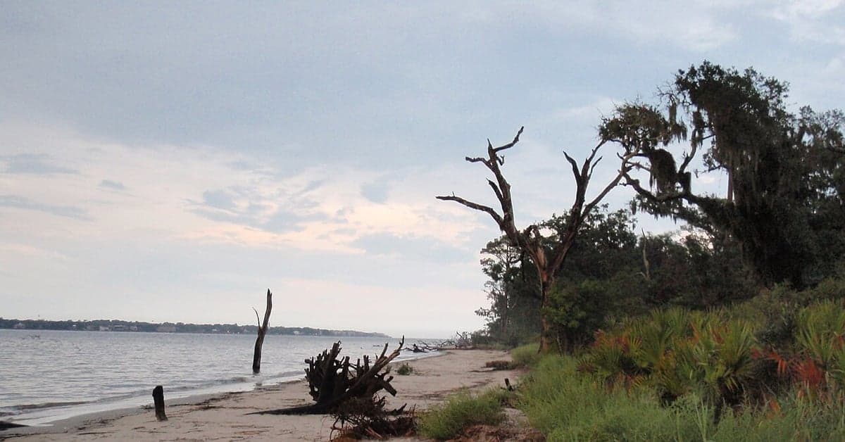 The Best Beaches in Georgia's Golden Isles