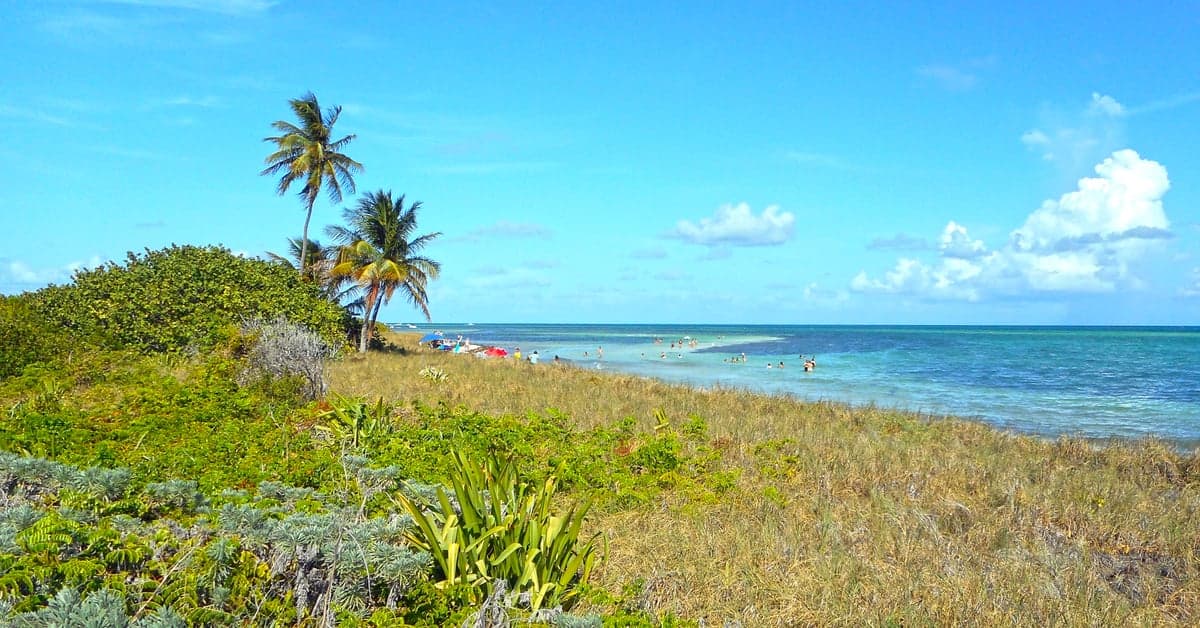 The Best Beaches in the Florida Keys