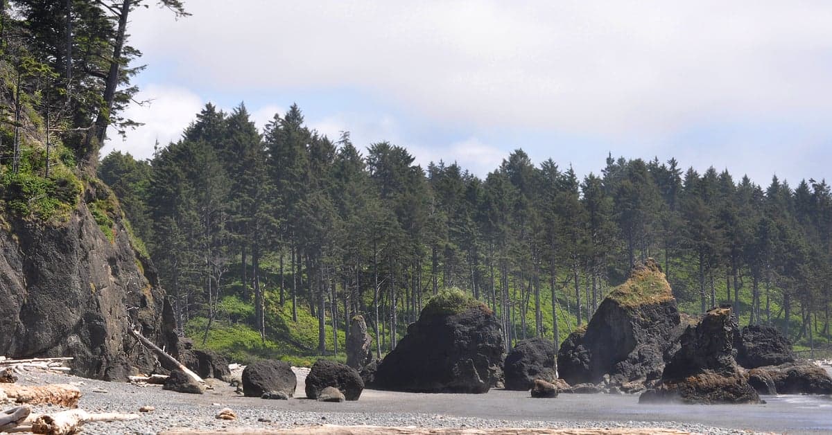 The Best Beaches in the Pacific Northwest: Oregon and Washington