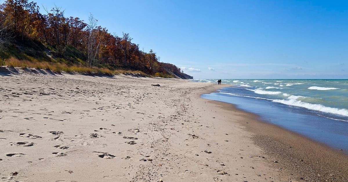 Lake Michigan shore at Indiana Dunes