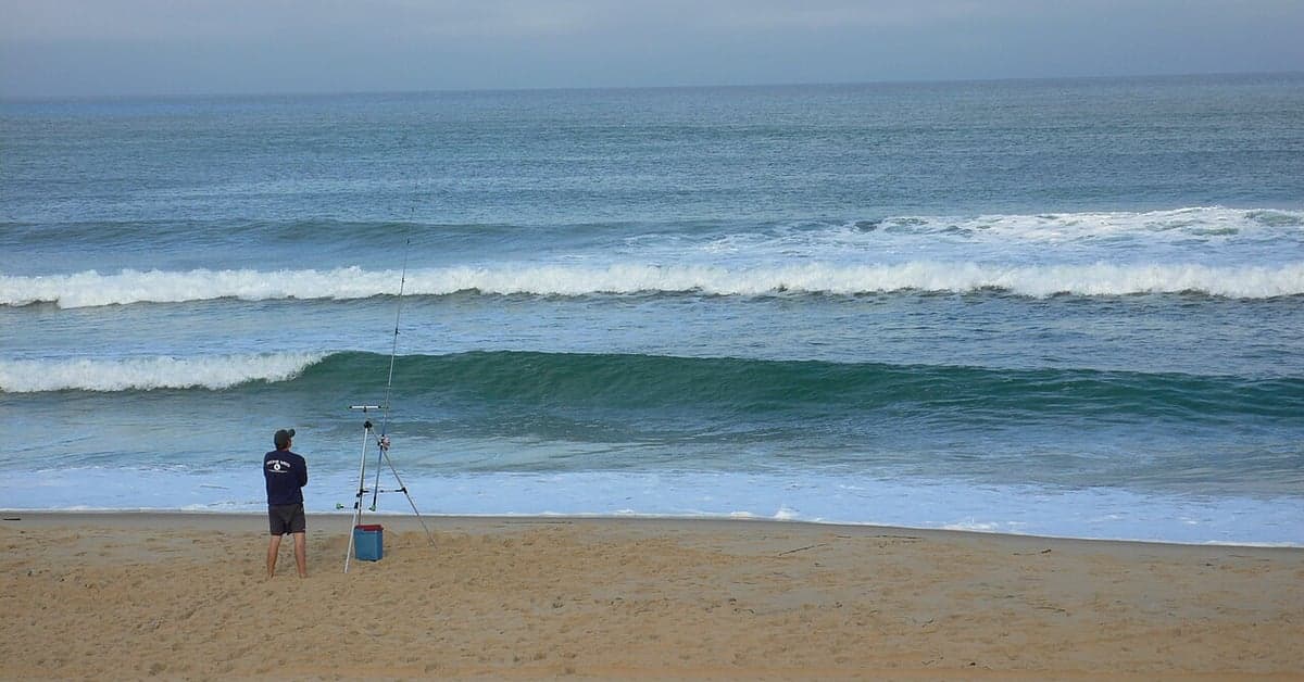A Complete Guide to Beach Fishing Around the World