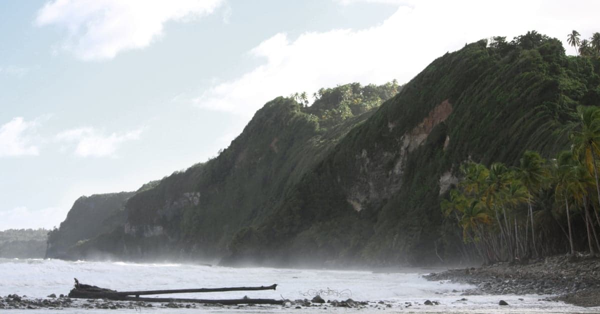 Rocky Caribbean coastline below forested hills