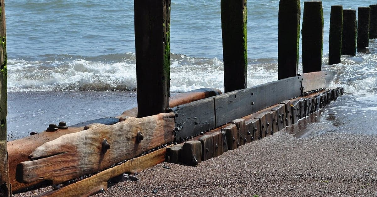 Wooden groynes built to slow longshore drift