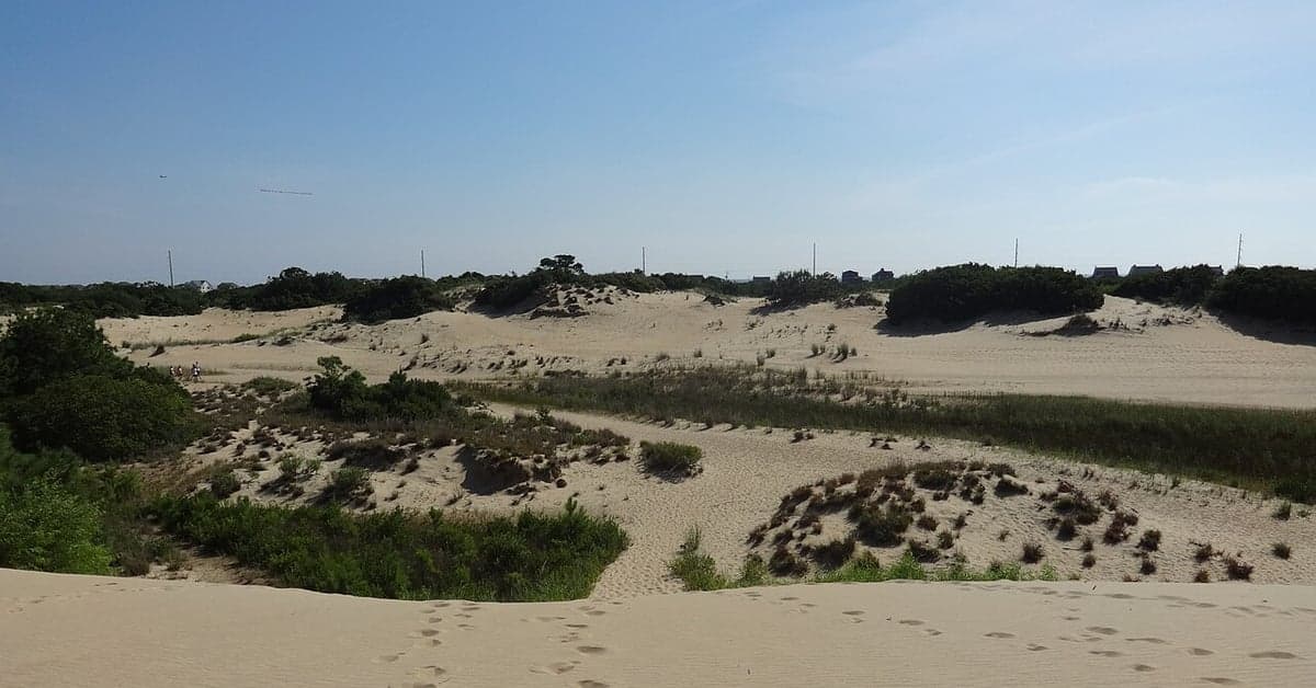 Outer Banks Beach Guide: Wild Horses, Shipwrecks, and Barrier Island Surf