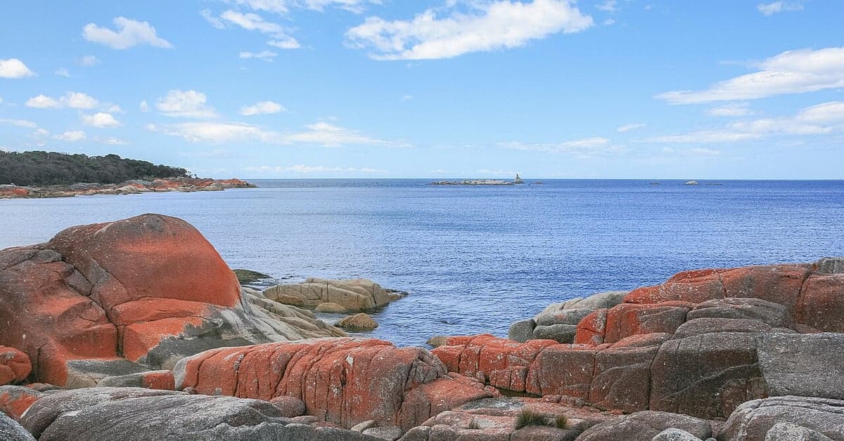 Lichen-covered boulders at the Bay of Fires, Tasmania