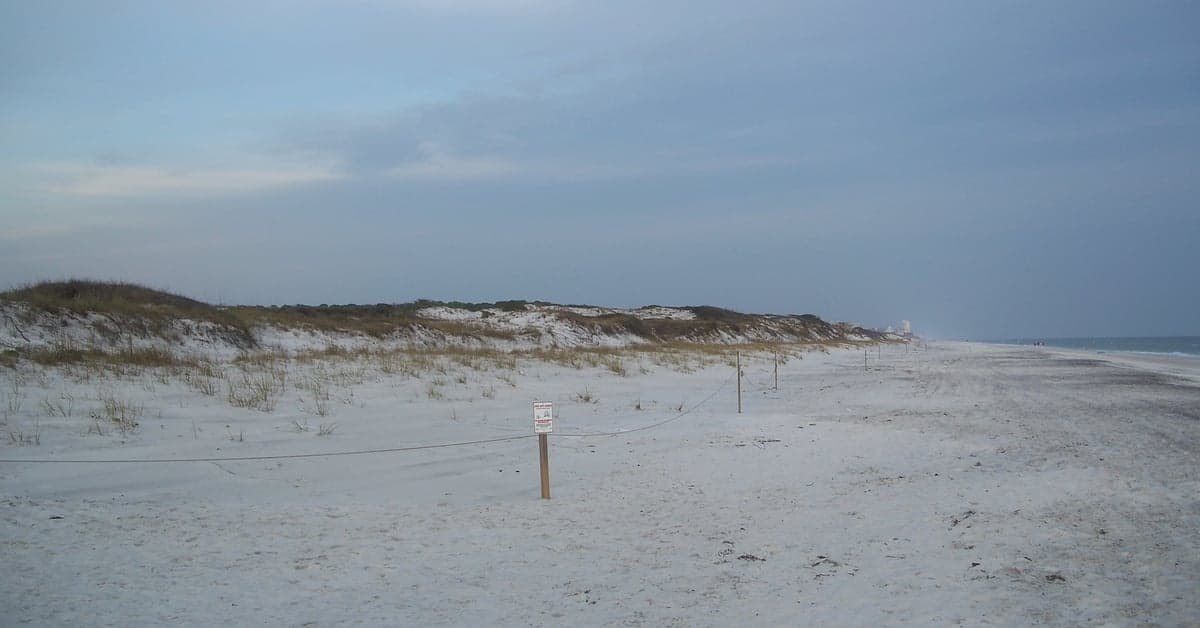 Dunes and white sand at Grayton Beach State Park, Florida