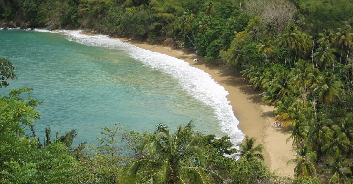 The Best Beaches in Tobago: Caribbean's Best-Kept Calm