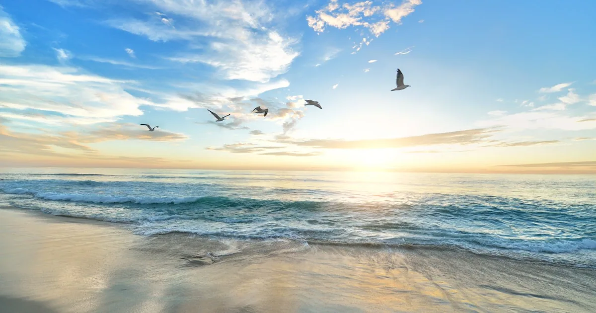 The Best Nude Beaches in the United States