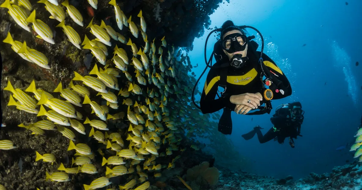 The Best Snorkeling Beaches in the World