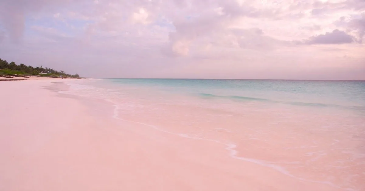 Pink Sands Beach on Harbour Island, Bahamas, with its signature blush-colored sand and crystal-clear turquoise water
