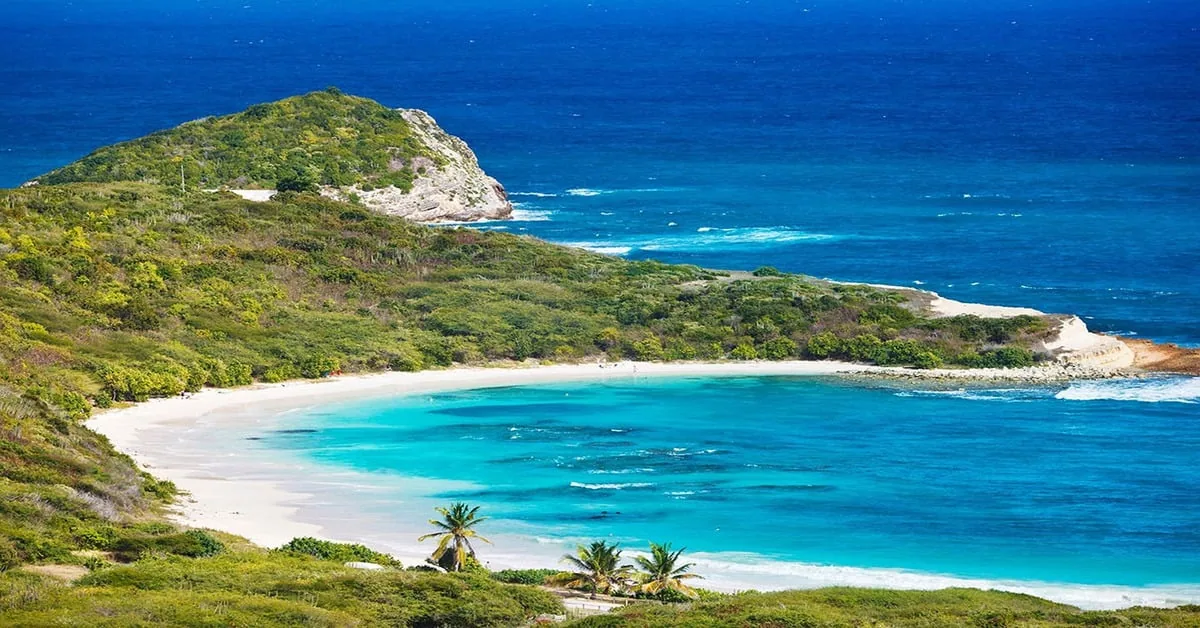 Half Moon Bay Beach in Antigua, a crescent-shaped stretch of white sand bordered by tropical vegetation