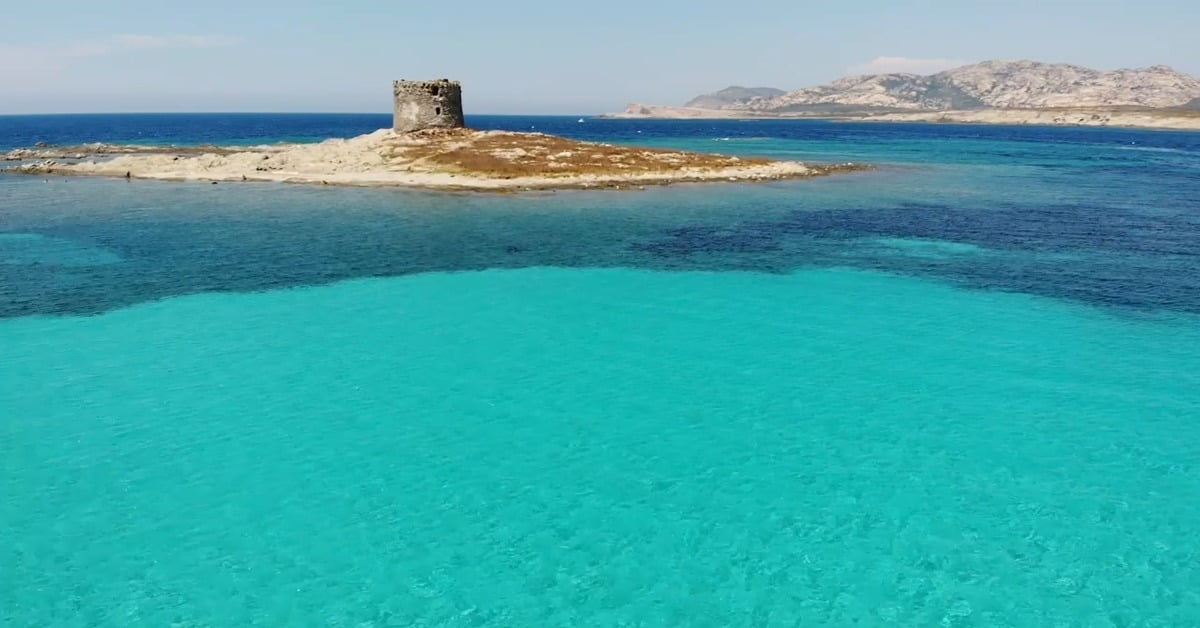 La Pelosa Beach near Stintino, Sardinia, with shallow turquoise water and an ancient watchtower in the background