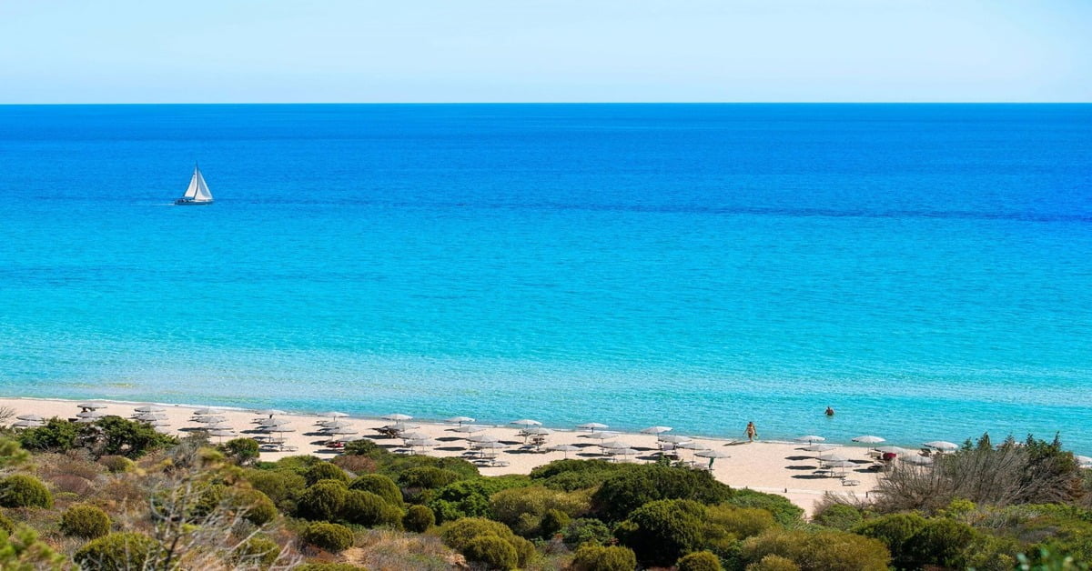Chia Beach in southern Sardinia with golden dunes, juniper trees, and waves rolling onto the shore