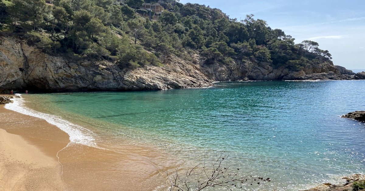 Cala Pola on Spain's Costa Brava, a secluded cove surrounded by pine-covered cliffs