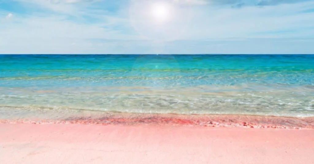 Pink Sands Beach in the Bahamas with distinctive pink sand