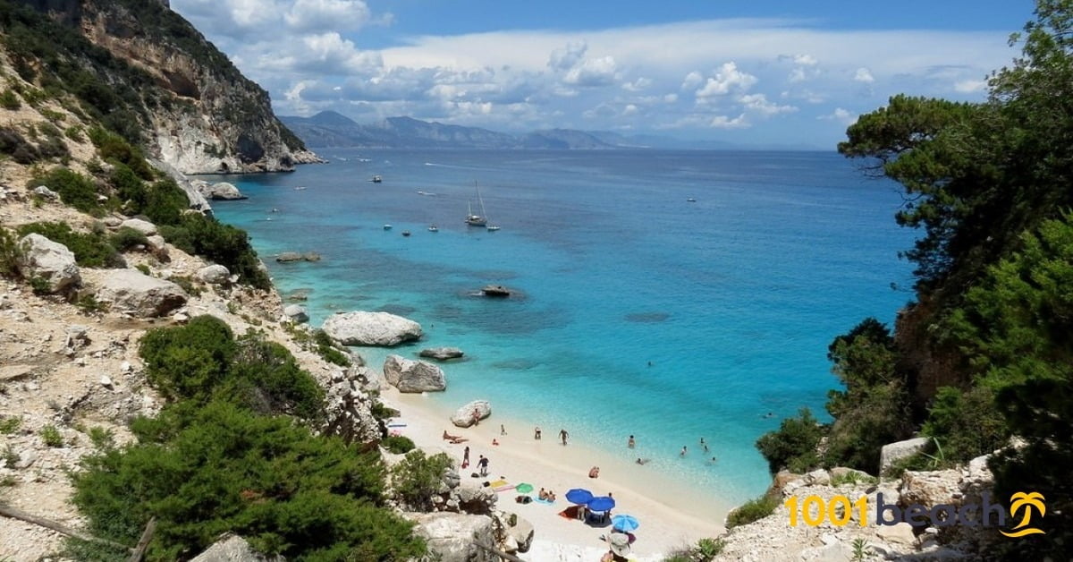 Pink Sands Beach in the Bahamas with blush-colored shore