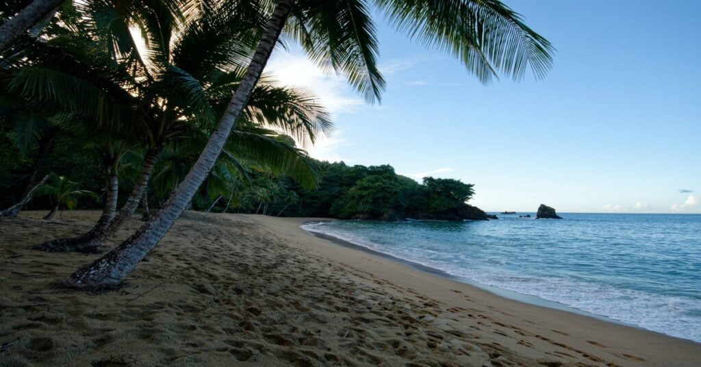 Englishman's Bay in Tobago with lush palm trees and calm water