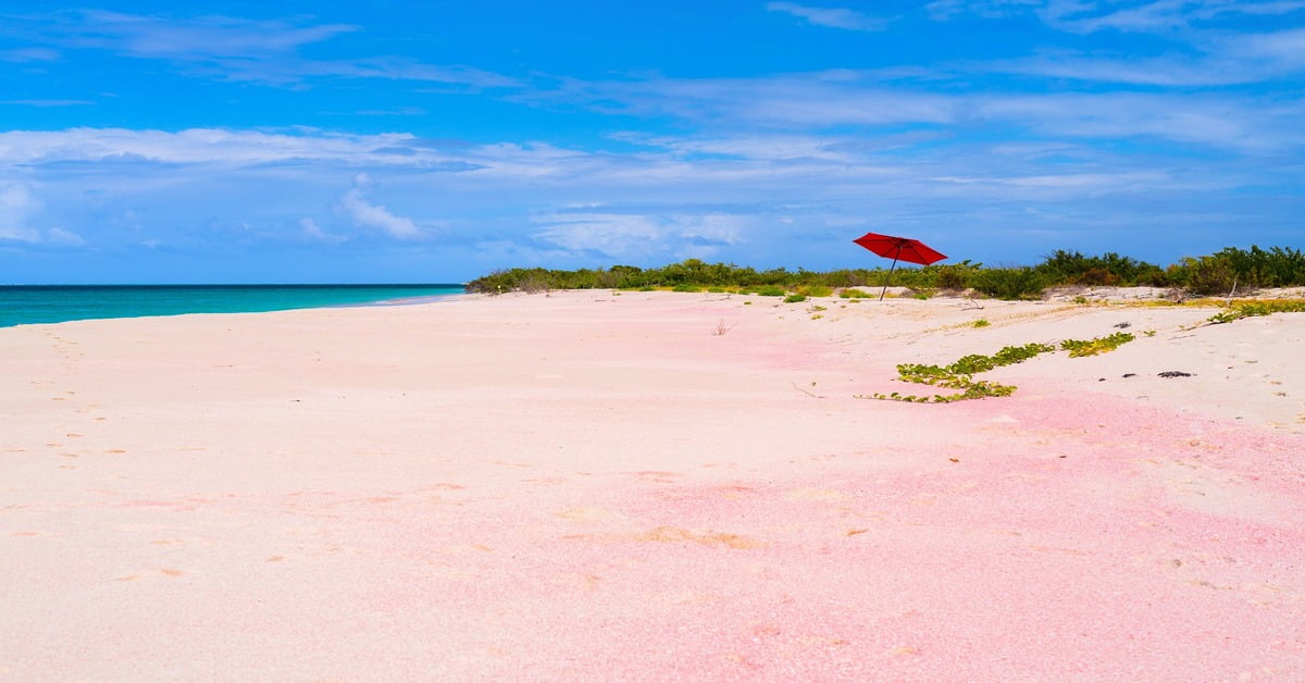 Pink Beach in Barbuda with distinctive pink-tinged sand