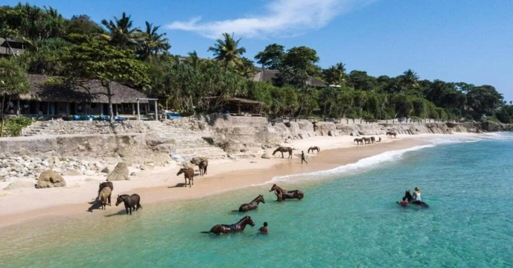 NIHI Sumba resort in Indonesia with dramatic ocean views