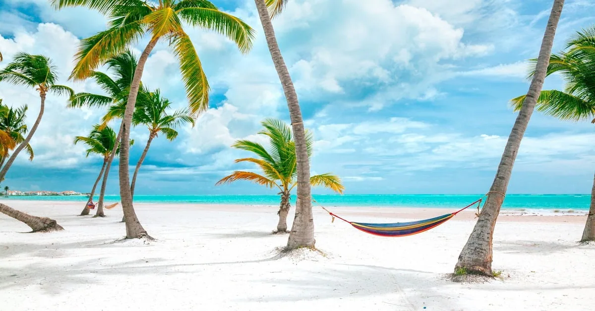 Palm-lined white sand beach in Punta Cana, Dominican Republic