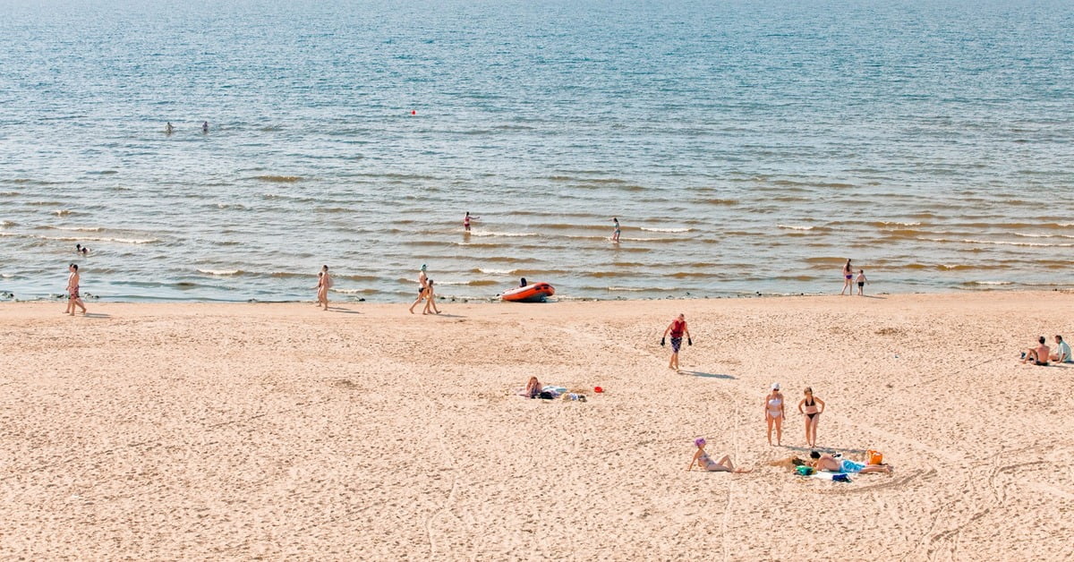 Pristine beach and pine forest at Narva-Joesuu resort in eastern Estonia