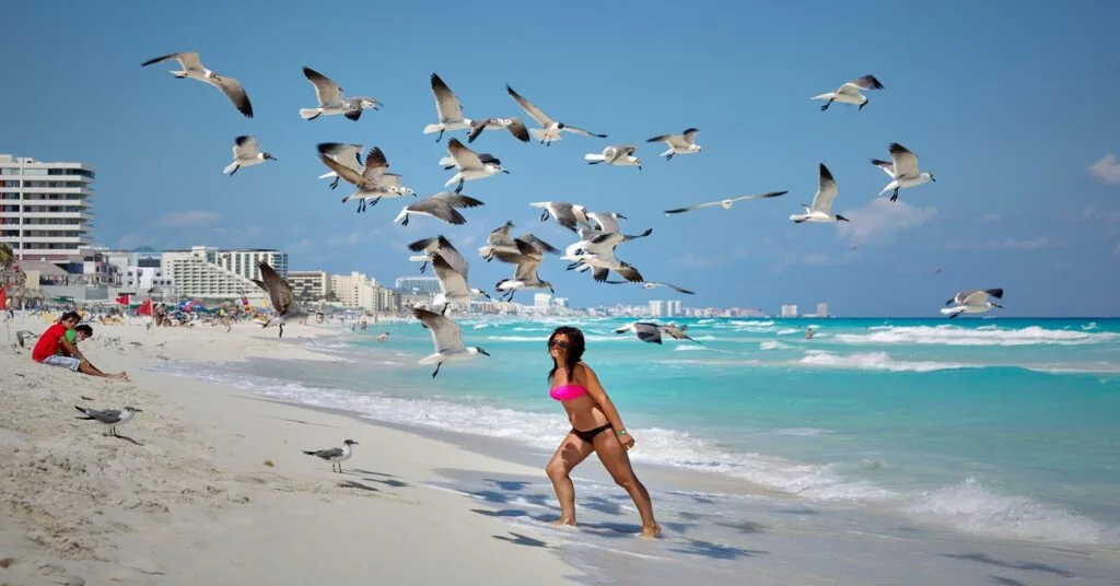 Pristine Caribbean beach with gentle waves and palm trees